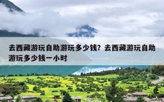 去西藏游玩自助游玩多少钱？去西藏游玩自助游玩多少钱一小时