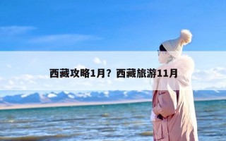 西藏攻略1月？西藏旅游11月