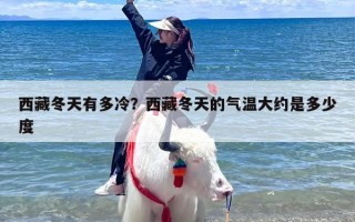 西藏冬天有多冷？西藏冬天的气温大约是多少度