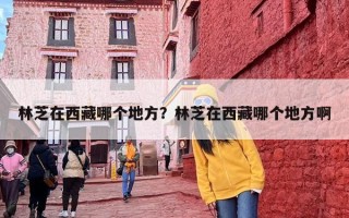 林芝在西藏哪个地方？林芝在西藏哪个地方啊