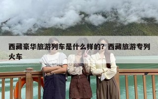 西藏豪华旅游列车是什么样的？西藏旅游专列火车