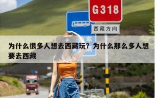 为什么很多人想去西藏玩？为什么那么多人想要去西藏
