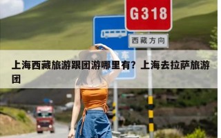 上海西藏旅游跟团游哪里有？上海去拉萨旅游团
