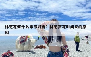林芝花海什么季节好看？林芝赏花时间长的原因