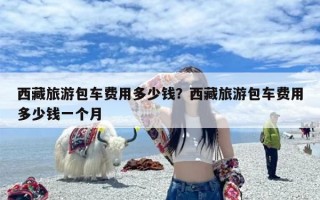 西藏旅游包车费用多少钱？西藏旅游包车费用多少钱一个月