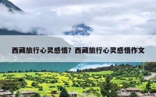 西藏旅行心灵感悟？西藏旅行心灵感悟作文