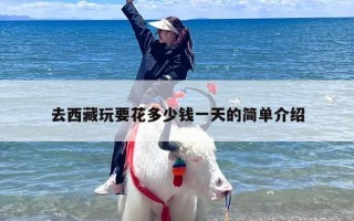去西藏玩要花多少钱一天的简单介绍