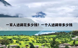 一家人进藏花多少钱？一个人进藏带多少钱