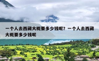 一个人去西藏大概要多少钱呢？一个人去西藏大概要多少钱呢