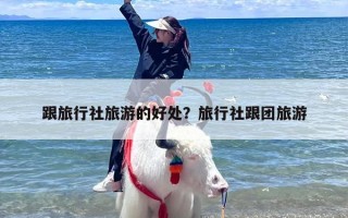 跟旅行社旅游的好处？旅行社跟团旅游