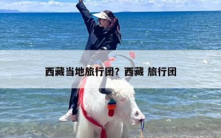 西藏当地旅行团？西藏 旅行团