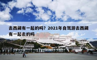 去西藏有一起的吗？2021年自驾游去西藏有一起去的吗
