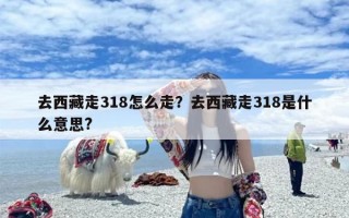 去西藏走318怎么走？去西藏走318是什么意思?