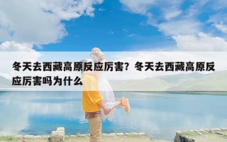 冬天去西藏高原反应厉害？冬天去西藏高原反应厉害吗为什么