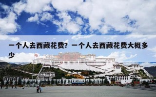 一个人去西藏花费？一个人去西藏花费大概多少