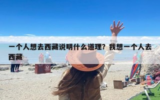 一个人想去西藏说明什么道理？我想一个人去西藏