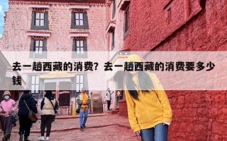 去一趟西藏的消费？去一趟西藏的消费要多少钱