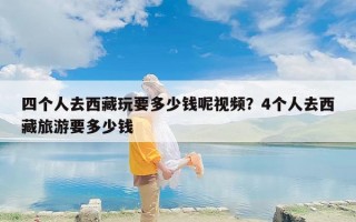 四个人去西藏玩要多少钱呢视频？4个人去西藏旅游要多少钱
