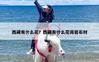 西藏有什么花？西藏有什么花岗岩石材