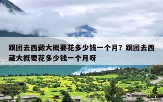 跟团去西藏大概要花多少钱一个月？跟团去西藏大概要花多少钱一个月呀