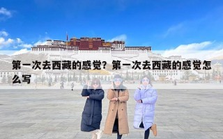 第一次去西藏的感觉？第一次去西藏的感觉怎么写