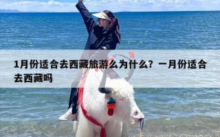 1月份适合去西藏旅游么为什么？一月份适合去西藏吗