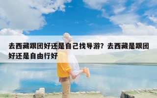 去西藏跟团好还是自己找导游？去西藏是跟团好还是自由行好