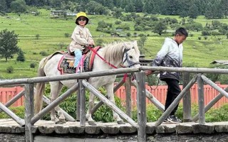 林芝到鲁朗多少公里