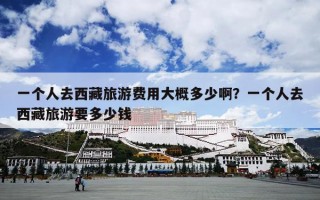 一个人去西藏旅游费用大概多少啊？一个人去西藏旅游要多少钱