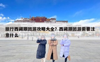 旅行西藏跟团游攻略大全？西藏跟团游需要注意什么