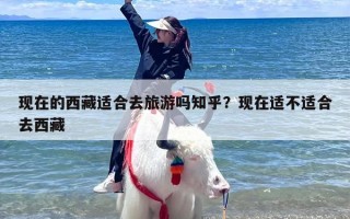 现在的西藏适合去旅游吗知乎？现在适不适合去西藏