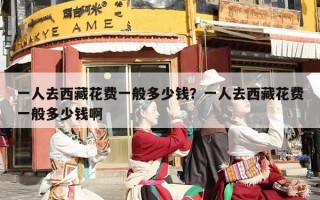 一人去西藏花费一般多少钱？一人去西藏花费一般多少钱啊