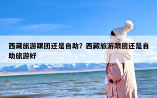 西藏旅游跟团还是自助？西藏旅游跟团还是自助旅游好