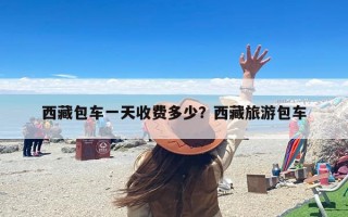 西藏包车一天收费多少？西藏旅游包车