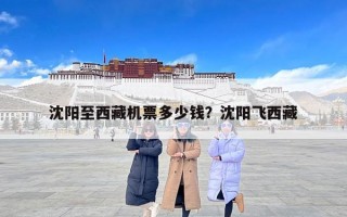 沈阳至西藏机票多少钱？沈阳飞西藏