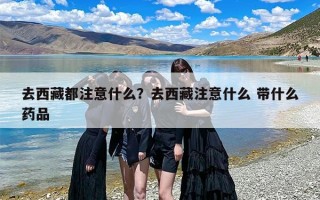 去西藏都注意什么？去西藏注意什么 带什么药品