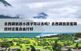 去西藏旅游小孩子可以去吗？去西藏旅游是跟团好还是自由行好