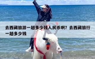 去西藏旅游一趟多少钱人民币啊？去西藏旅行一趟多少钱