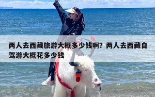 两人去西藏旅游大概多少钱啊？两人去西藏自驾游大概花多少钱