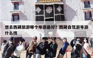 想去西藏旅游哪个导游最好？西藏自驾游导游什么找