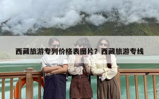 西藏旅游专列价格表图片？西藏旅游专线