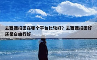 去西藏报团在哪个平台比较好？去西藏报团好还是自由行好