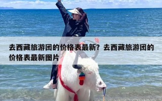 去西藏旅游团的价格表最新？去西藏旅游团的价格表最新图片