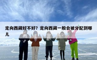 定向西藏好不好？定向西藏一般会被分配到哪儿