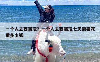 一个人去西藏玩？一个人去西藏玩七天需要花费多少钱