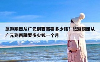 旅游跟团从广元到西藏要多少钱？旅游跟团从广元到西藏要多少钱一个月