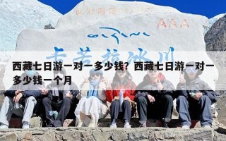 西藏七日游一对一多少钱？西藏七日游一对一多少钱一个月