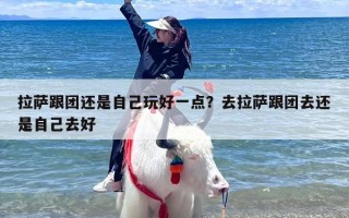 拉萨跟团还是自己玩好一点？去拉萨跟团去还是自己去好