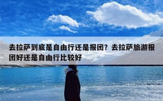 去拉萨到底是自由行还是报团？去拉萨旅游报团好还是自由行比较好
