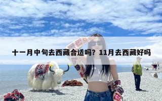 十一月中旬去西藏合适吗？11月去西藏好吗